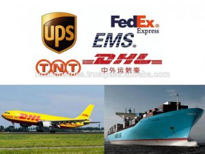 DHL Transit Time from China to USA