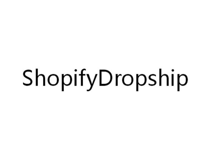 Dropship Shipping from China to USA with Shopify - บล็อก - 2