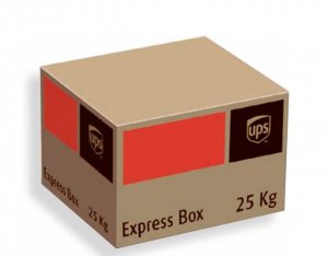 China to USA Shipping Time for UPS