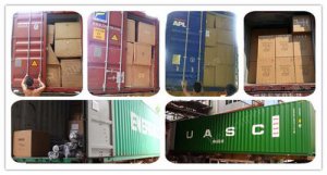 Containers Shipping from China to USA