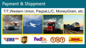 DHL Express- China to USA Shipping Made Easy