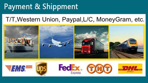 DHL Express- China to USA Shipping Made Easy - Blog - 1