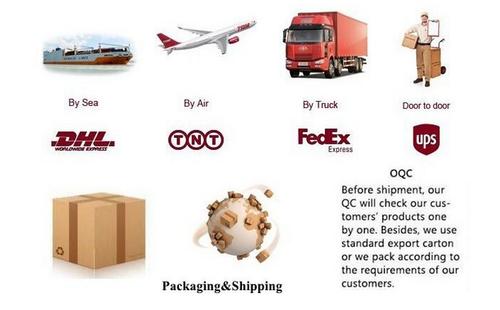 DHL Freight Cost from China to USA for 1lb - Blog - 2