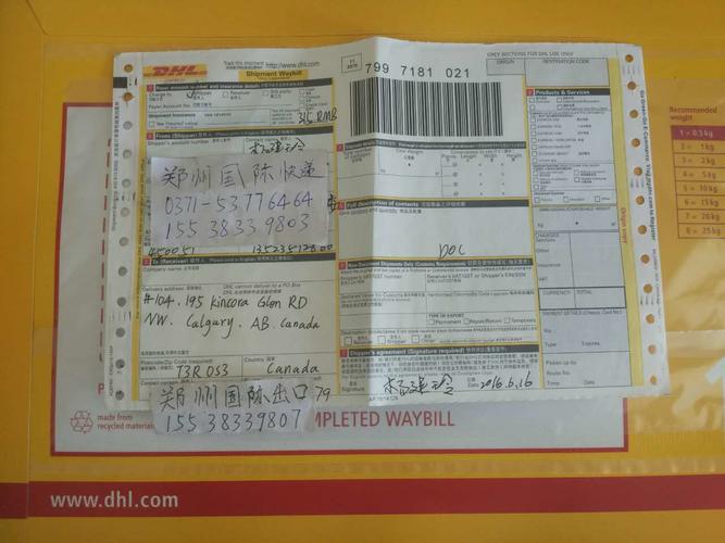 DHL Service- China to USA Shipping - Blog - 2