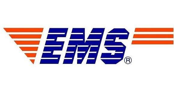 Efficient EMS and DHL Shipping from China to USA - บล็อก - 1