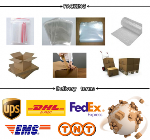 Efficient Zhengzhou to USA UPS Shipping Services