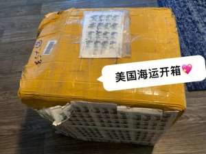 EMS Shipping from China to USA