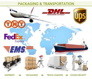 Express Shipping Cost from China to USA