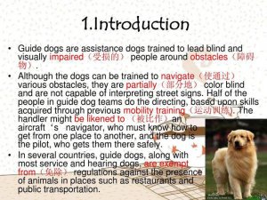 Guide- Bringing a Dog from China to the USA