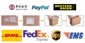 How Long Does EMS China to USA Typically Take？