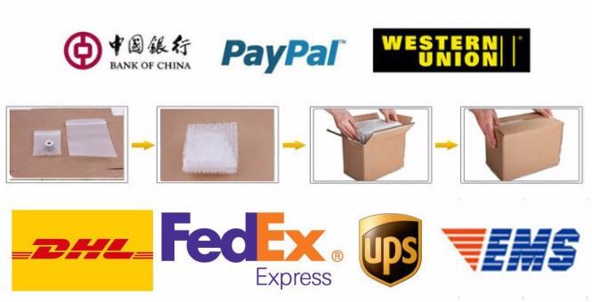 How Long Does EMS China to USA Typically Take？ - Blog - 1