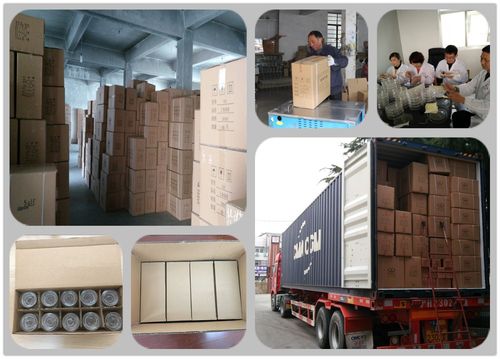 Timeline for TNT Shipping from China to USA - مدونة - 1